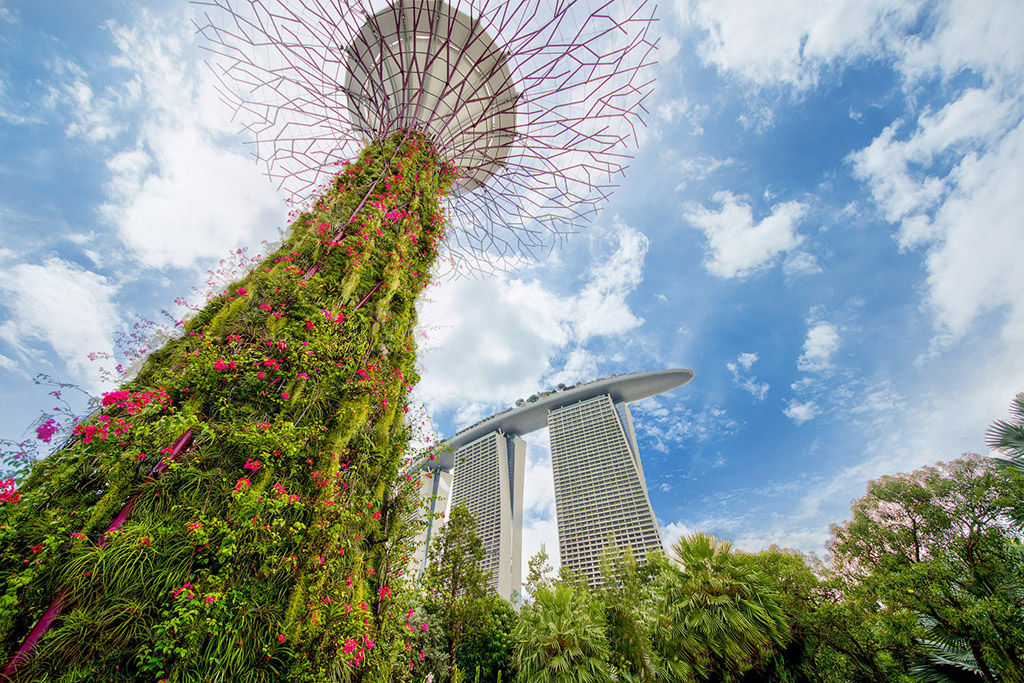 Singapore City Guide: A First-Time Visitor’s Guide To The Garden City