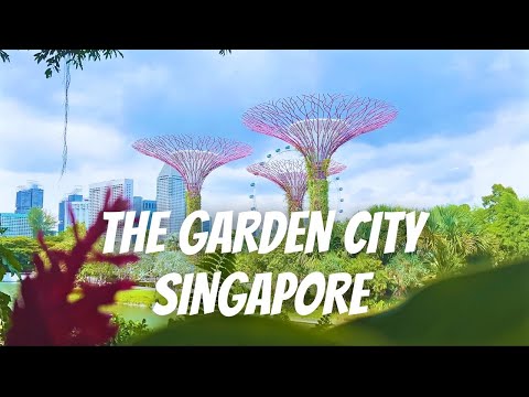 Singapore City Guide: A First-Time Visitor’s Guide To The Garden City